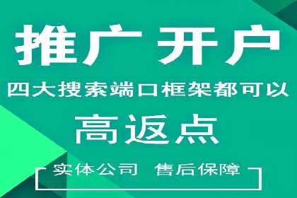 SEM竞价推广案例：打造行业领先的广告投放策略
